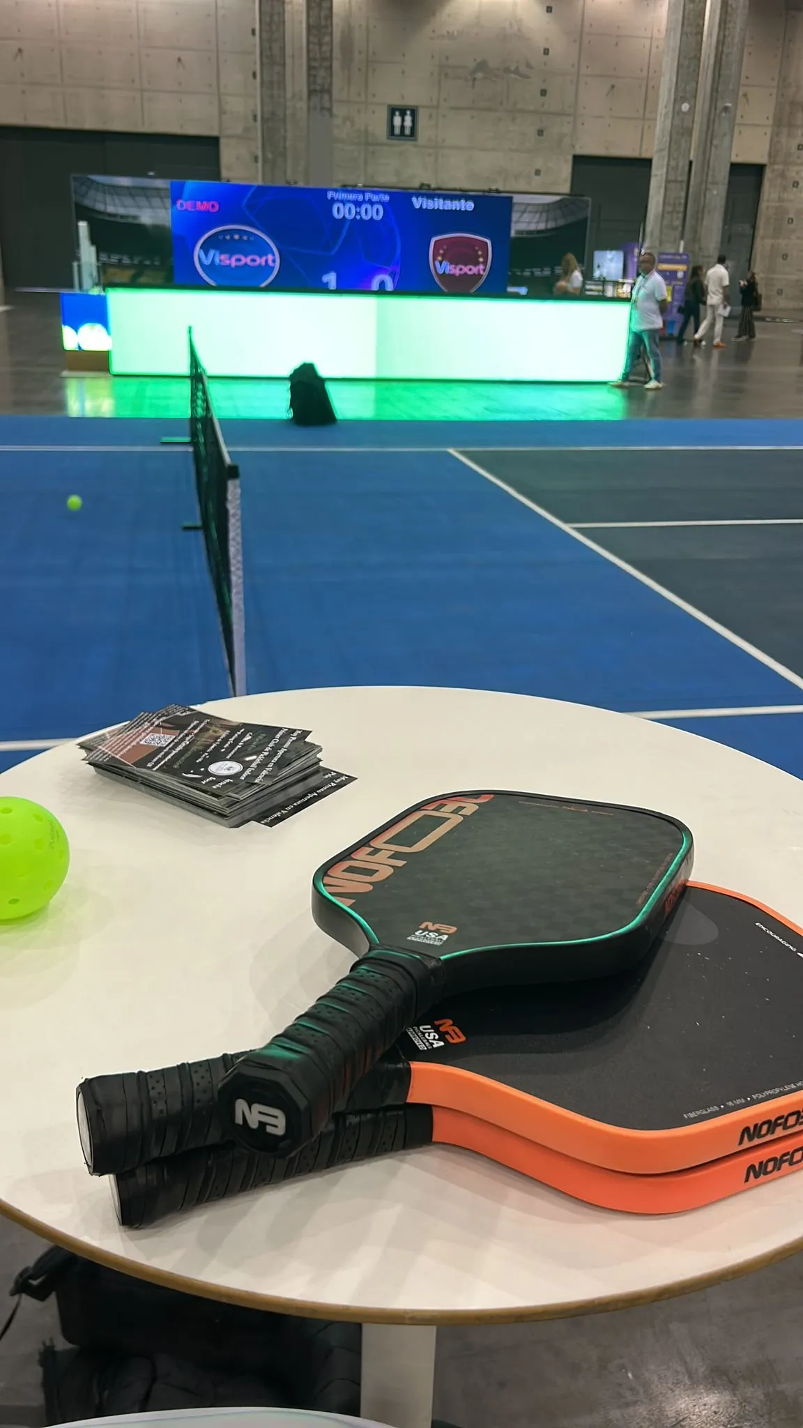Palas y pelotas de pickleball
